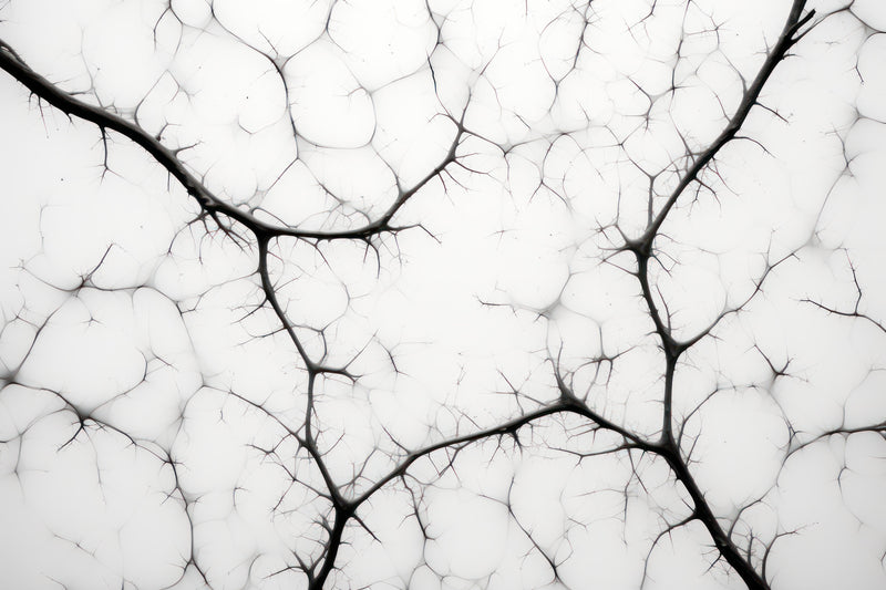 Brain Fog